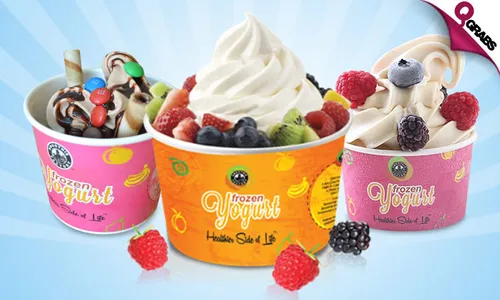 Create Your Own Frozen Yogurt with Toppings!